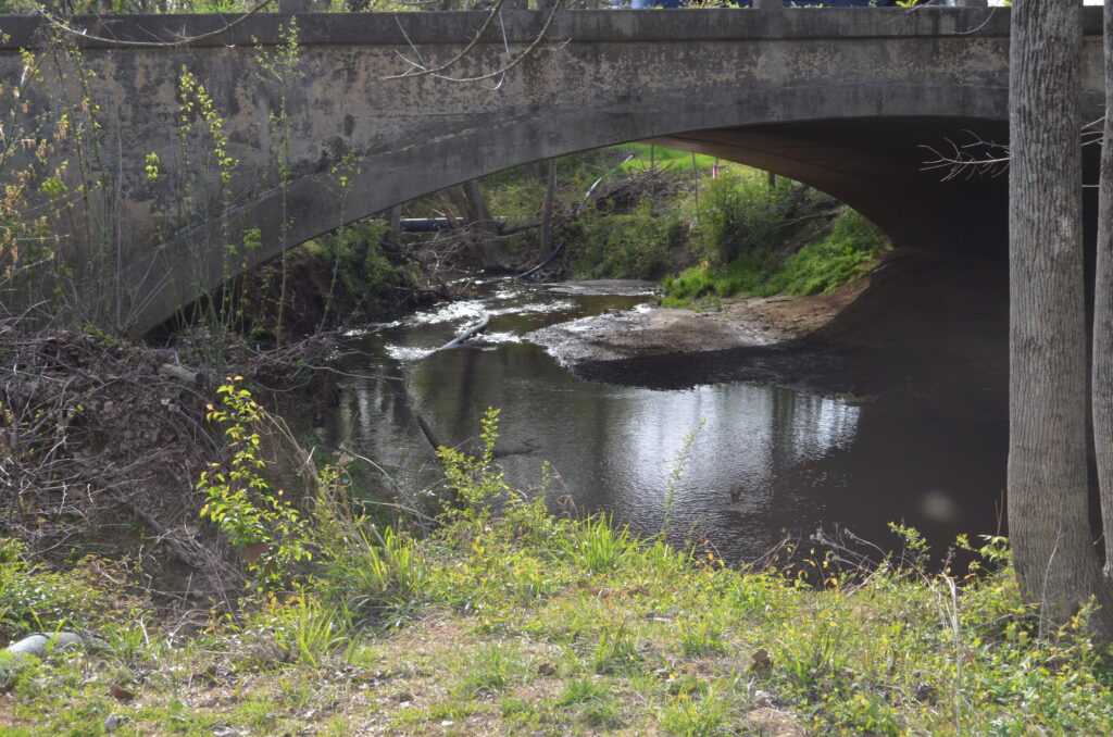 Lindsay Pettus Greenway Before_7 (1)