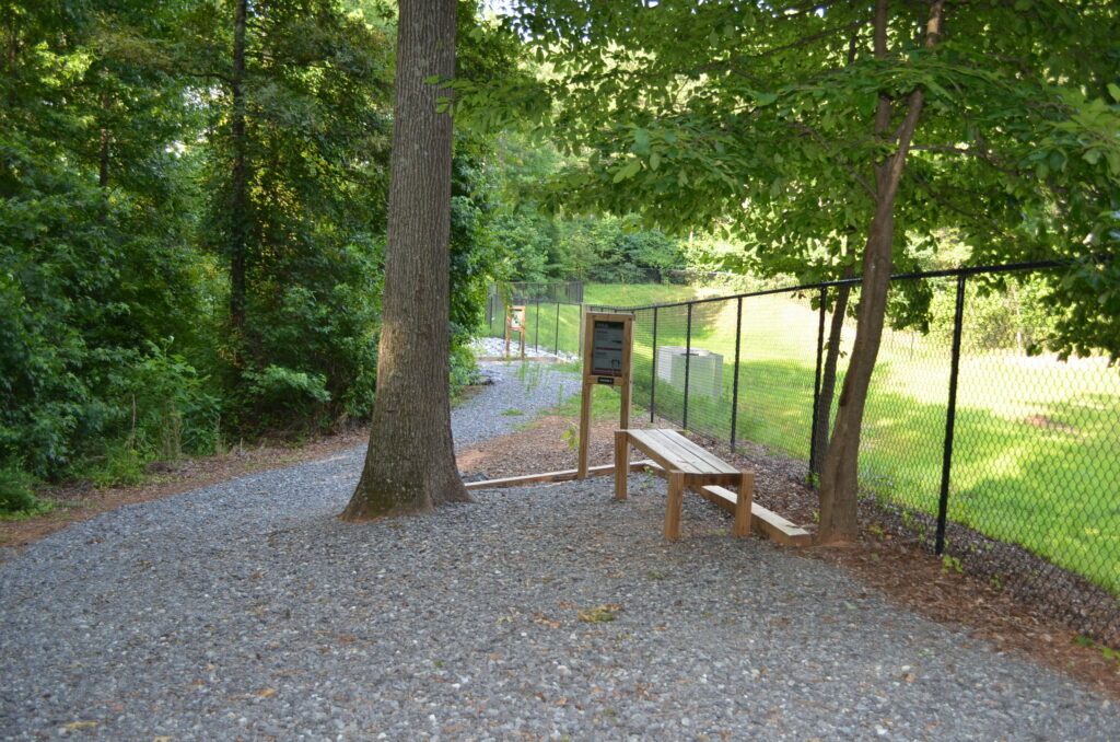 Millwood Plantation 1