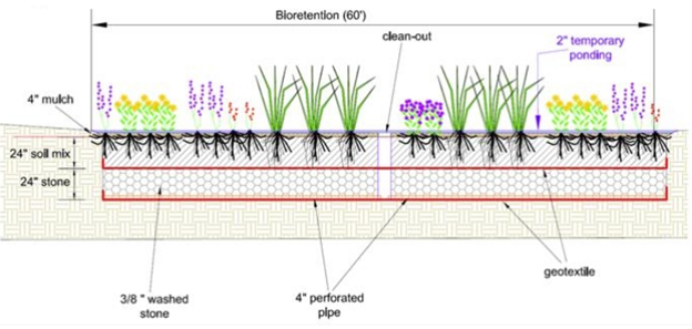 YTC_Stormwater Master Plan_2