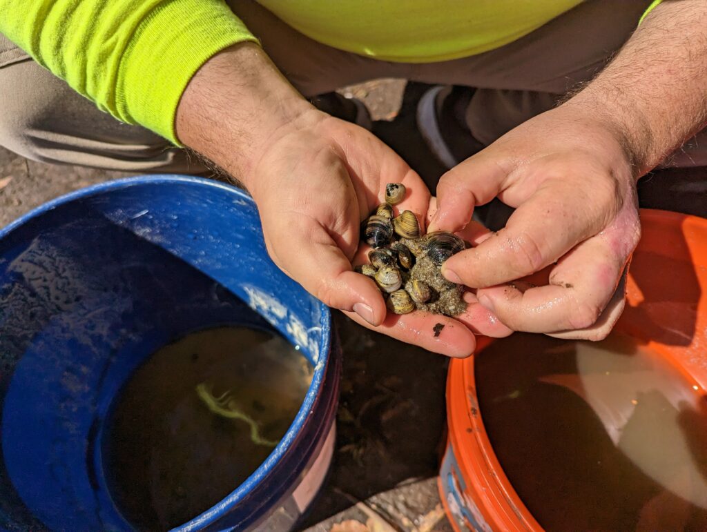 PXL_20221018_170803135